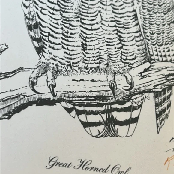 Vintage Ron M. Jenkins signed print of Great Horned Owl. Dated 1974. Matted - Picture 10 of 12